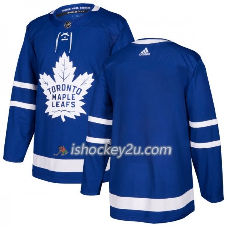 Mænd NHL Toronto Maple Leafs Trøje Blank Adidas 2017-2018 Blå Authentic